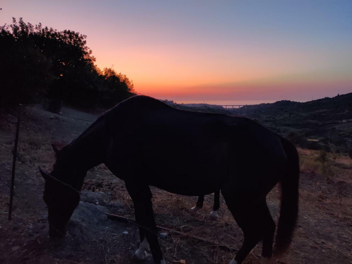 Casa Pizzido Near Cefalu Collesano エクステリア 写真